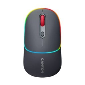Canyon Dual Mode Wireless Mouse | Dark Grey | CNS-CMSW22DG